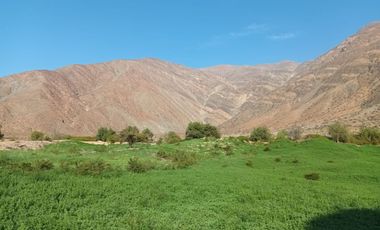 Haz Realidad tu Proyecto Rural: Fundo Ganadero y Agrícola en el Corazón de Ayacucho