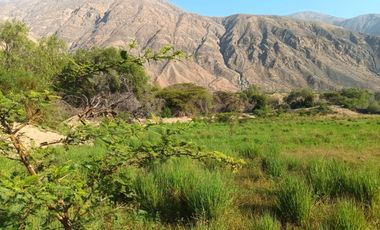 Haz Realidad tu Proyecto Rural: Fundo Ganadero y Agrícola en el Corazón de Ayacucho