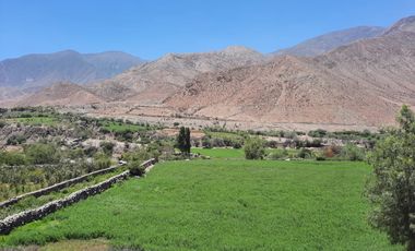 Haz Realidad tu Proyecto Rural: Fundo Ganadero y Agrícola en el Corazón de Ayacucho