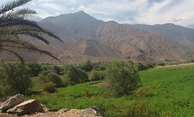 Haz Realidad tu Proyecto Rural: Fundo Ganadero y Agrícola en el Corazón de Ayacucho