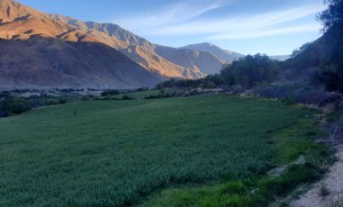 Haz Realidad tu Proyecto Rural: Fundo Ganadero y Agrícola en el Corazón de Ayacucho