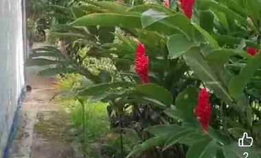 Casa Campestre en Chucuni