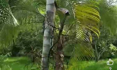 Casa Campestre en Chucuni