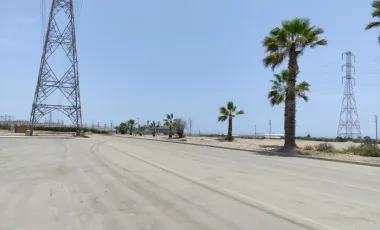 En venta lote Industrial en La Chutana-Chilca, 10,000 m2