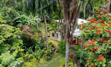 VENTA | Finca con 2 casas y doble escritura en San Antonio del Tequendama 🌿 Naturaleza y proyección