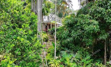 VENTA | Finca con 2 casas y doble escritura en San Antonio del Tequendama 🌿 Naturaleza y proyección