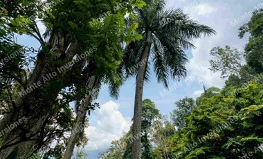 VENTA | Finca con 2 casas y doble escritura en San Antonio del Tequendama 🌿 Naturaleza y proyección