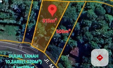jual tanah 10,2 are raya mayong seririt