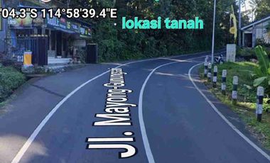 jual tanah 10,2 are raya mayong seririt
