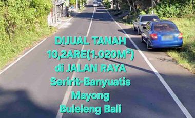 jual tanah 10,2 are raya mayong seririt