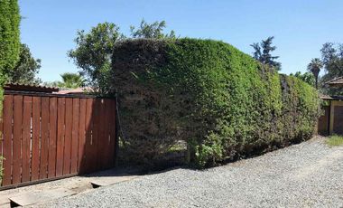 Arriendo casa independiente en Paine
