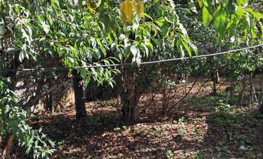 CASA 2DO PISO  Y AMPLIO TERRENO DE 360 M2