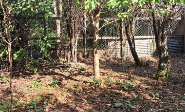 CASA 2DO PISO  Y AMPLIO TERRENO DE 360 M2