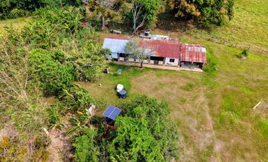 133 Hectáreas, Finca en Venta