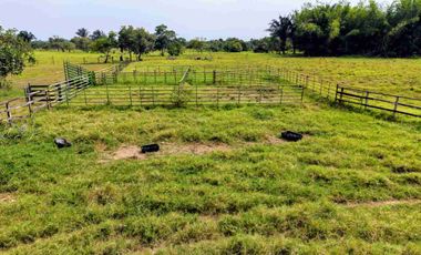133 Hectáreas, Finca en Venta