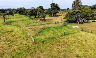 133 Hectáreas, Finca en Venta