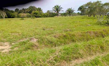 133 Hectáreas, Finca en Venta