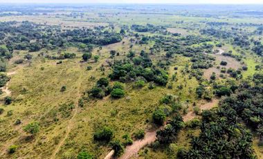 133 Hectáreas, Finca en Venta