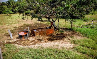 133 Hectáreas, Finca en Venta