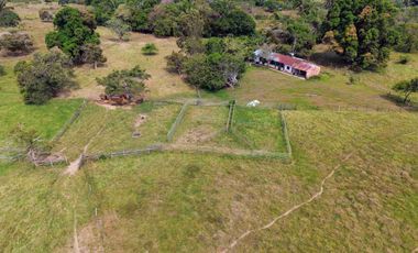 133 Hectáreas, Finca en Venta