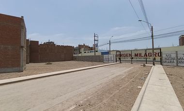 Venta de Terreno con titulo de 120m2 - El Olivar de Puente Piedra (Alt grifo El Norteño)