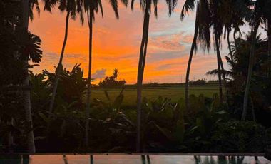 Beautyful Villa with padi n sunset view for sale close to Purnama beach in sukawati Gianyar