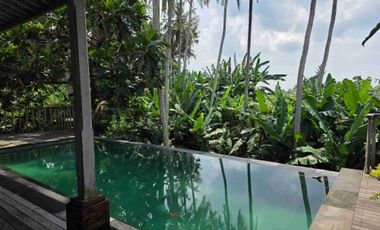 Beautyful Villa with padi n sunset view for sale close to Purnama beach in sukawati Gianyar