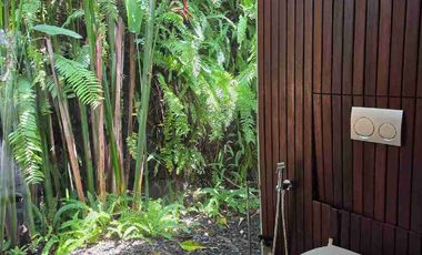 Beautyful Villa with padi n sunset view for sale close to Purnama beach in sukawati Gianyar