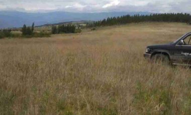 se vende 10 hectáreas en el sector García Moreno Bolivar Carchi Ecuador