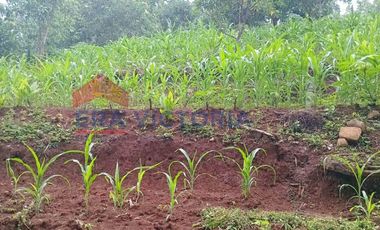 Tanah Nganjuk Pinggir Jalur Alternatif Cocok Gudang, Peternakan & Kavling