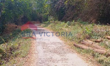 Tanah Nganjuk Pinggir Jalur Alternatif Cocok Gudang, Peternakan & Kavling