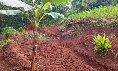 Tanah Nganjuk Pinggir Jalur Alternatif Cocok Gudang, Peternakan & Kavling