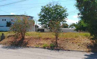 Katarungan Village Prime Lot383sqm. Near Daang Hari Gate