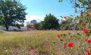 Katarungan Village Prime Lot383sqm. Near Daang Hari Gate