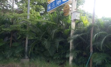 Rumah Green Royal Condohouse, 2 BR, Harga 55 juta