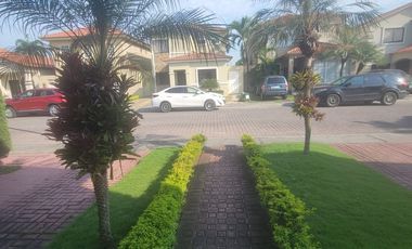 En alquiler amplia casa de tres dormitorios en Ciudad Celeste, Nuevo Samborondon