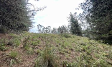 Terreno de venta Ambato, sector Casigana en Miraflores Zona Industrial