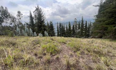 Terreno de venta Ambato, sector Casigana en Miraflores Zona Industrial