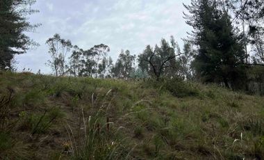 Terreno de venta Ambato, sector Casigana en Miraflores Zona Industrial