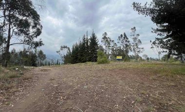 Terreno de venta Ambato, sector Casigana en Miraflores Zona Industrial