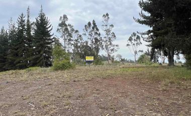 Terreno de venta Ambato, sector Casigana en Miraflores Zona Industrial
