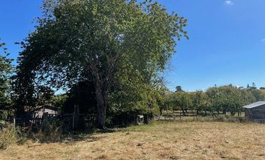 ¡OPORTUNIDAD!  Vende terreno 10.000 mts.2, Sector Paraguay Chico, Los Muermos.
