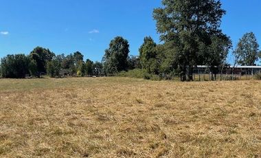 ¡OPORTUNIDAD!  Vende terreno 10.000 mts.2, Sector Paraguay Chico, Los Muermos.