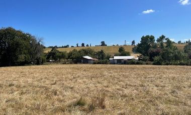 ¡OPORTUNIDAD!  Vende terreno 10.000 mts.2, Sector Paraguay Chico, Los Muermos.