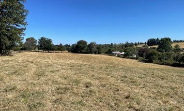 ¡OPORTUNIDAD!  Vende terreno 10.000 mts.2, Sector Paraguay Chico, Los Muermos.