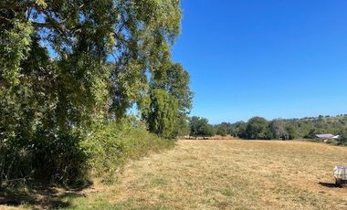 ¡OPORTUNIDAD!  Vende terreno 10.000 mts.2, Sector Paraguay Chico, Los Muermos.