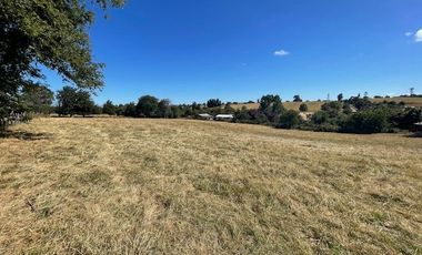 ¡OPORTUNIDAD!  Vende terreno 10.000 mts.2, Sector Paraguay Chico, Los Muermos.