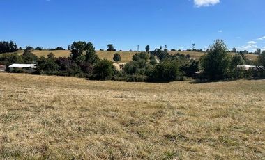 ¡OPORTUNIDAD!  Vende terreno 10.000 mts.2, Sector Paraguay Chico, Los Muermos.