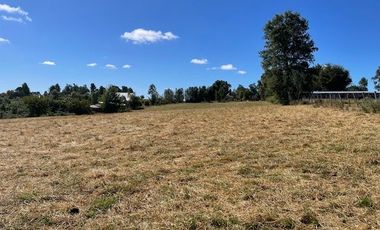 ¡OPORTUNIDAD!  Vende terreno 10.000 mts.2, Sector Paraguay Chico, Los Muermos.