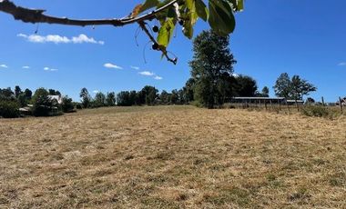 ¡OPORTUNIDAD!  Vende terreno 10.000 mts.2, Sector Paraguay Chico, Los Muermos.